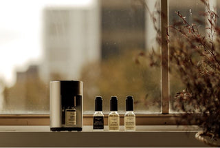 Fig & Sandalwood Fragrance