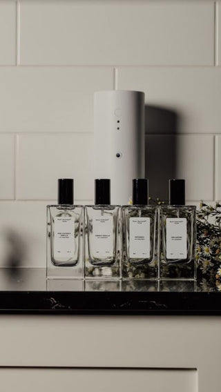 Dream Oil