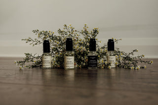 Embrace the Enchanting Aromas of Winter