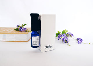 The 4 Types of Home Diffusers [And Which One Wins]