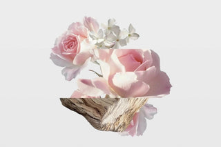botanical gardens notes: pink roses, white jasmine and cedarwood