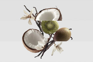 kiwi coconut vanilla fragrance notes: kiwi, coconut and vanilla