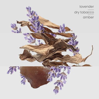 lavender, dry tobacco leaves and amber, the notes of kirri's melbourne scent