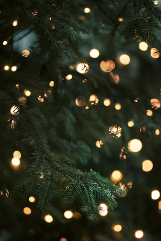 green christmas tree with warm string lights