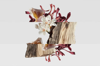 rose gold fragrance notes: saffron, jasmine and amberwood