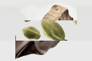 santal woods notes: sandalwood bark, cardamom pods and soft leather
