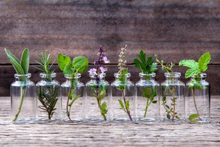 herbs