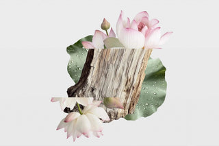 zen garden fragrance notes: peony, lotus and driftwood