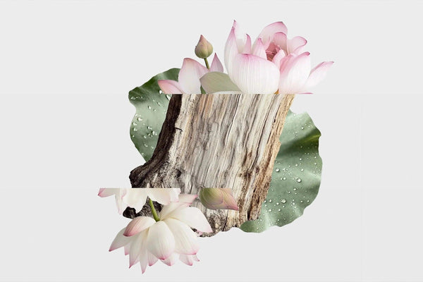 zen garden fragrance notes: peony, lotus and driftwood