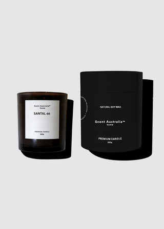 Santal Woods Candle + Glass Cloche (Formerly Santal 66)