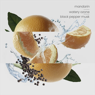 Bondi Reed Diffuser Trio (100ml)