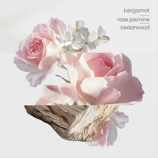 Botanical Gardens Reed Diffuser Trio (100ml)