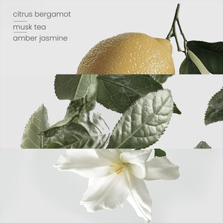 Dream Reed Diffuser Trio (100ml)