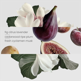 Fig Tree Candle + Glass Cloche + Marble Base