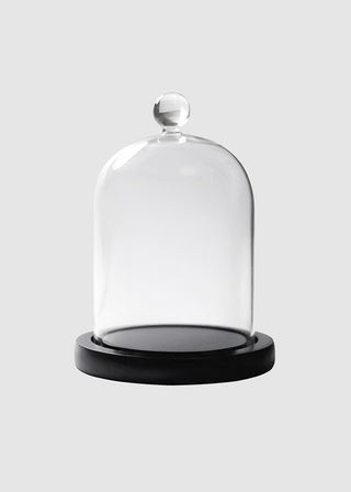Glass cloche 400g + Wooden Base