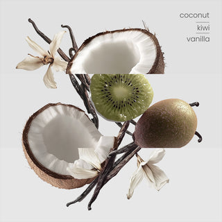 Kiwi Coconut Vanilla Reed Diffuser Trio (100ml)