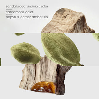 Close-up of a piece of wood with green leaves and amber-colored substance, labeled with various names.