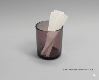 100x Blotters + Black Glass Holder