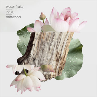 Zen Garden Reed Diffuser 200ml Trio + Zen Garden Reed Refills 500ml Trio